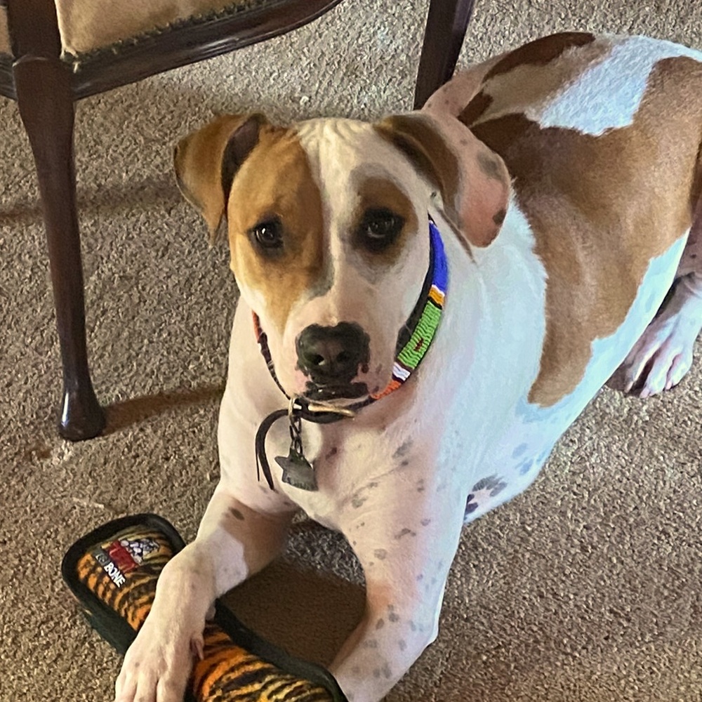 Meet your Posher, Sue